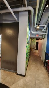 Effective Interior Painting Services by Expert Painters in Philadelphia , PA