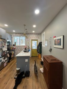 Interior Painting in Allens Lane
